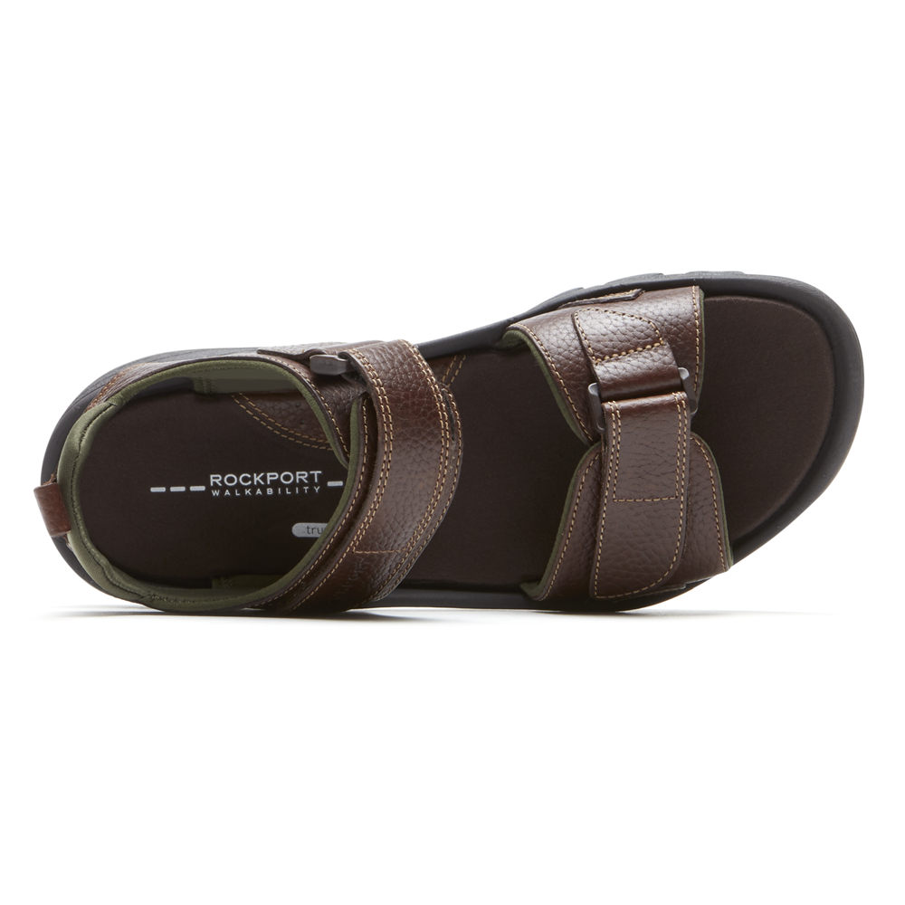 Rockport Sandaler Herre Brune - Springboro Rocklake - VQNY35461